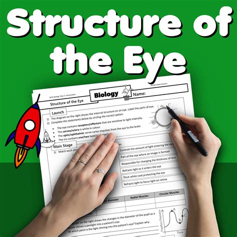 Structure Of The Eye Home Learning Worksheet Gcse Uk