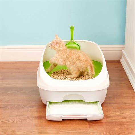 The 9 Best Cat Litter Boxes Of 2021
