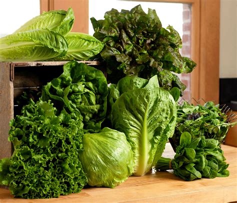 Green Leaf Lettuce Nutrition Facts And Information