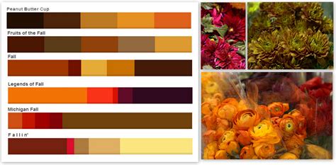 Fall Color Palettes Fall Color Schemes Deep Autumn Color Palette