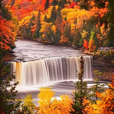 Waterfall In Autumn I Miss The Pennsylvania Countryside But Not The