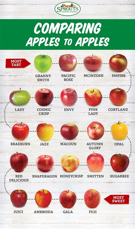 A Guide To Apples And How To Enjoy Them Artofit