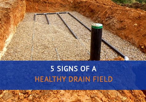 These tips will help you out. 5 Signs of a Healthy Drain Field | Advanced Septic Services