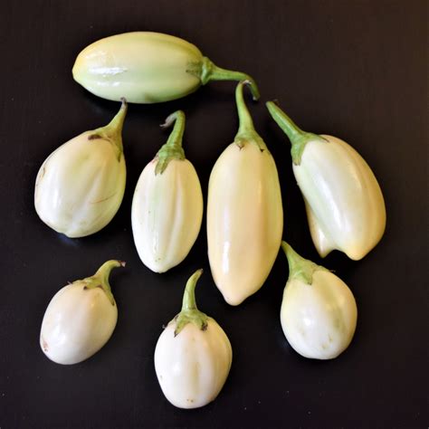 White Garden Egg Eggplant Truelove Seeds