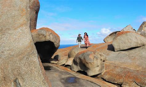 Kangaroo Island Experience Day Tour Book Now Experience Oz