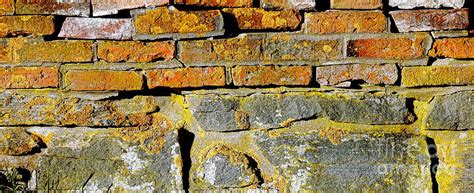 Brick And Stone Wall Photograph By Olivier Le Queinec Fine Art America