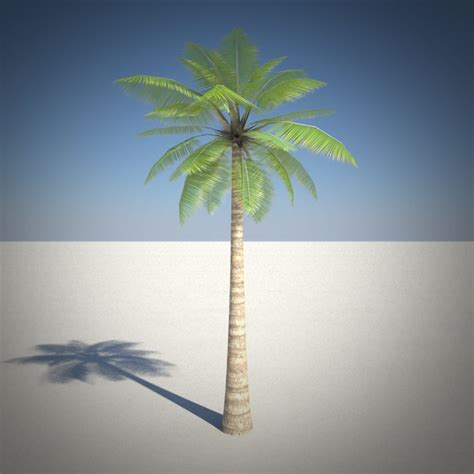 3d Model Of Low Poly Palm Tree