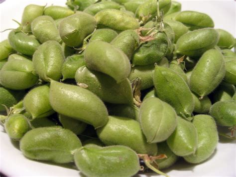 Steam the garbanzo beans for 5 minutes. Garbanzo Salad