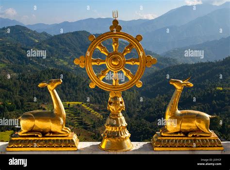 The Wheel Of Dharma Dharmacakra Of The Thrangu Tashi Yangtse Buddhist
