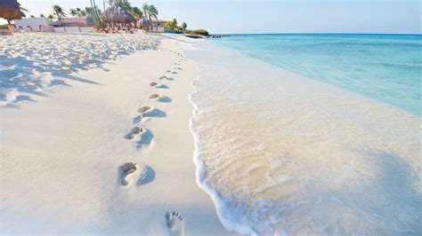 Las 5 Playas Para Visitar En Un Viaje Por Aruba En Pleno Caribe