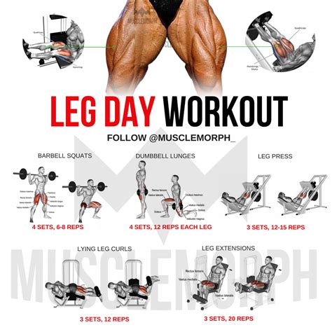 Leg Day Workout Leg Workout Leg Exercises Gym Bodybuilding Https