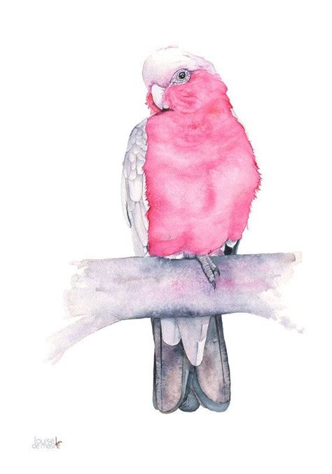 A Watercolor Painting Of A Pink Bird Perched On A Branch