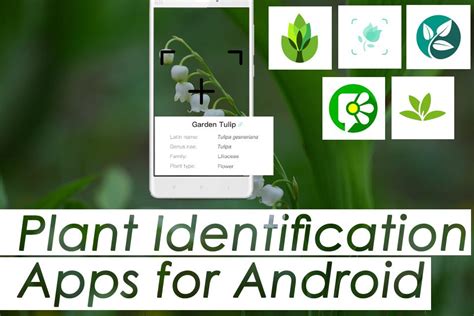 That's because you need to take a picture of a plant and upload it to plantfinder. Best Plant Identification Apps for Android Devices 2020