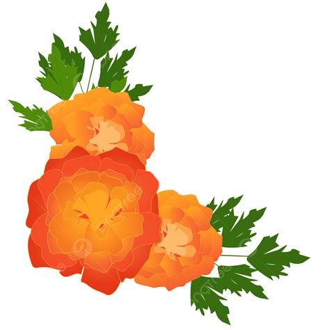Gambar Bright Orange Marigold Flowers With Green Leaves Clipart
