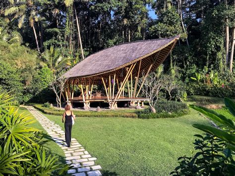 Find the Best Yoga in Ubud for Your Style & Level
