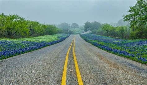 3 Breathtaking Drives You Must Take In The Texas Hill Country