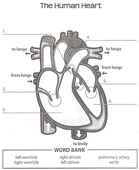 Heart Label Worksheets