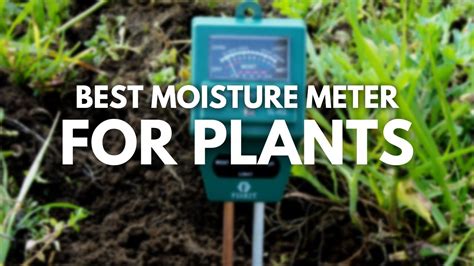 Best Moisture Meter For Plants Check Plant Moisture Easily Youtube