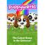 Puppy World  IPHONE GAMES FOR YOU