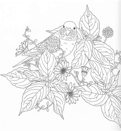 Harmony Of Nature Adult Coloring book Pg 9 Color pages, Stencils
