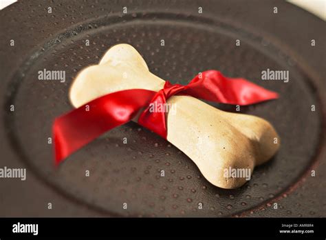 Dog Bone Ribbon High Resolution Stock Photography And Images Alamy