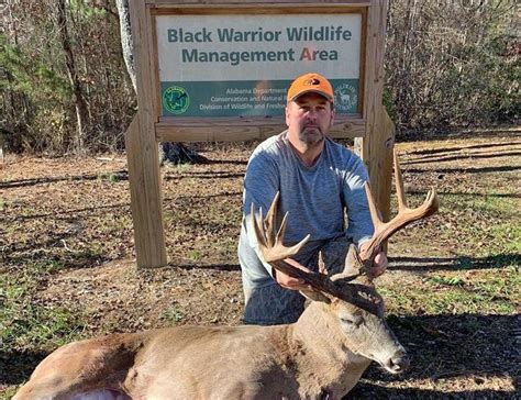 Public Land Provides Opportunities To Hunt Rut All Season Outdoor Alabama