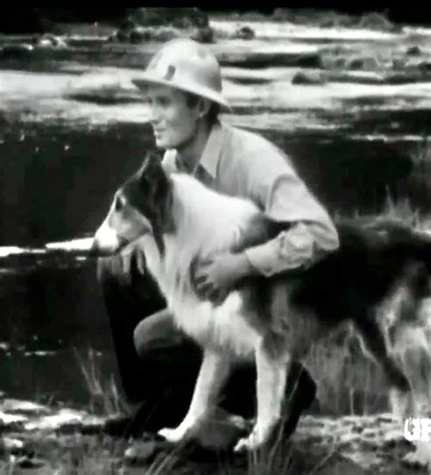 Lassie Lassie And The Loner Tv Episode 1964 Imdb