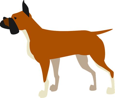 Boxer Dog Clipart Free Download Transparent Png Creazilla