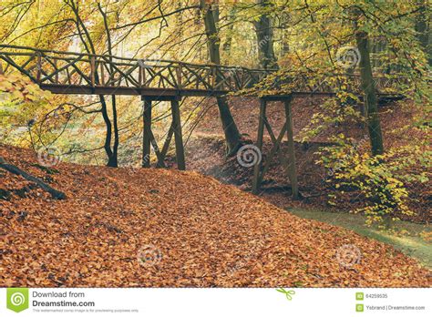 Wooden Bridge In Autumn Forest Stock Image Image Of Park Road 64259535