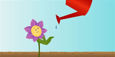 Many of these plants are suitable. How Do Plants Deal with Dry Days? · Frontiers for Young Minds