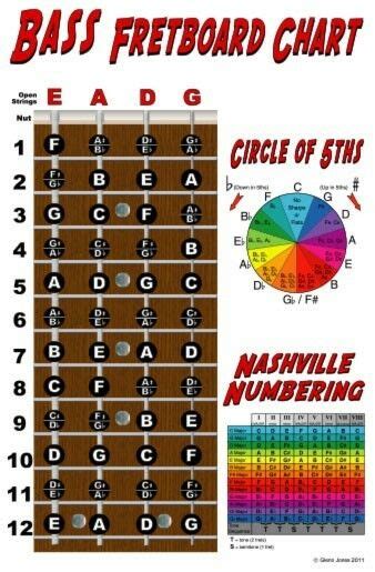 Adjustment at neck joint (phillips screwdriver): 4 String Bass Fretboard Instructional Chart Poster LOOK | eBay
