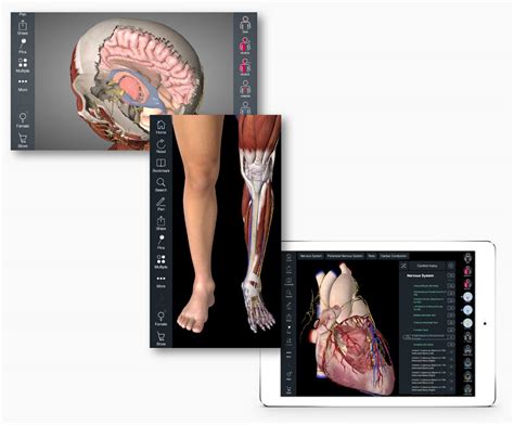 Essential Anatomy 3 Windows Download