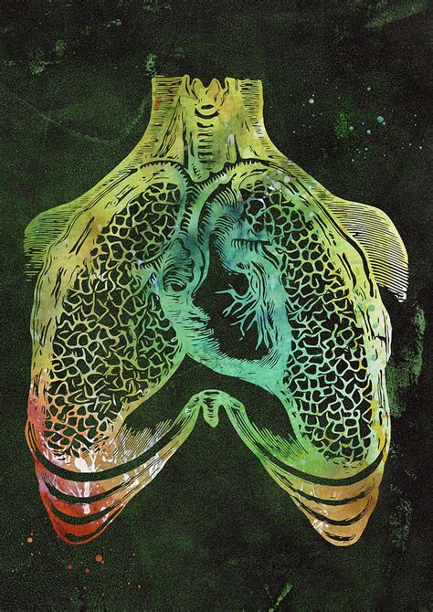 Human Heart And Lungs Digital Art By Erzebet S Pixels