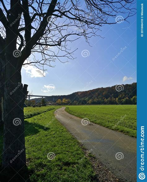 Vertical Shot Of A Pathway In The Middle Of A Field Captured On A Sunny
