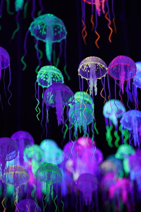4k Free Download Jellyfish Colorful Glow Luminescence Hd Mobile