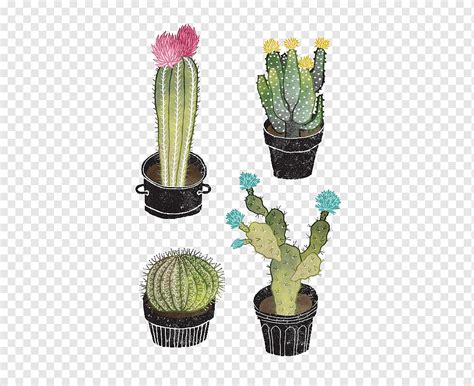 Maybe you would like to learn more about one of these? Kaktus Gambar Daun Estetik Png
