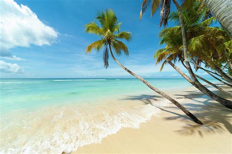Tropical Beach Caribbean By John Harper