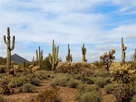 5 Surprising Things About Rving In The Desert Southwest