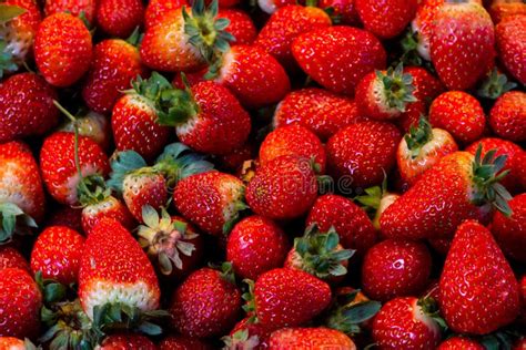 Closeup Shoot Of The Fresh Strawberries Stock Photo Image Of