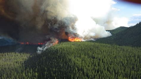 Whitehorse Daily Star Hot Dry Conditions Feeding More Forest Fires