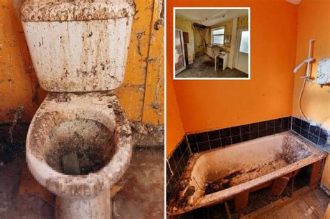 Run Down Property Wreck With Stomach Churning Toilet So Disgusting