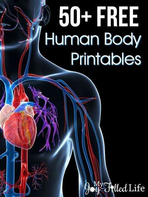 This is a free printable worksheet in pdf format and holds a printable version of the quiz full body muscular anatomy. 50+ FREE Human Body Printables | Human body anatomy, Human body activities, Human body systems