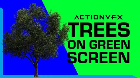 A Tree With The Words Action Vfx Trees On Green Screen In Front Of It