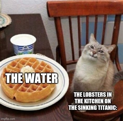 Cat Likes Their Waffle Imgflip