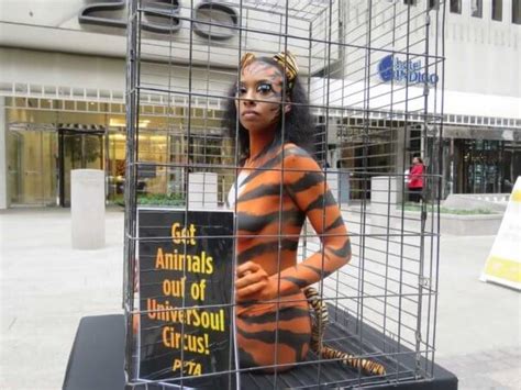 Naked Caged Tiger Shows How Soulless Universoul Circus Really Is Peta