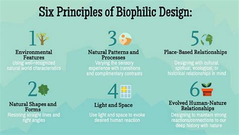 6 Principles Of Biophilic Design Snapshot Plantscapers