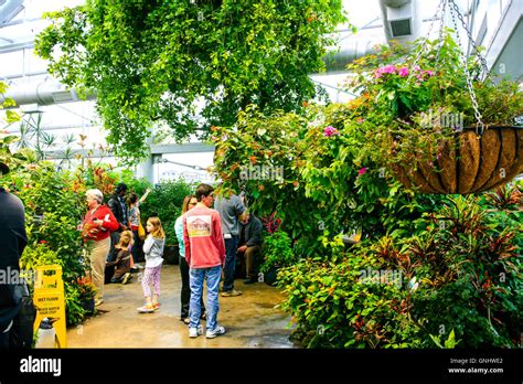 Aquarium In Chattanooga Tn Hi Res Stock Photography And Images Alamy