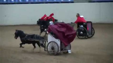 2015 Amhr Nationals Chariot Racing Youtube