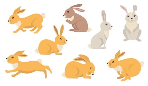 Rabbit Vectors And Illustrations For Free Download Freepik