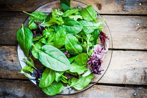 Freshh Green Salad With Spinacharugularomane And Lettuce Stock Photo